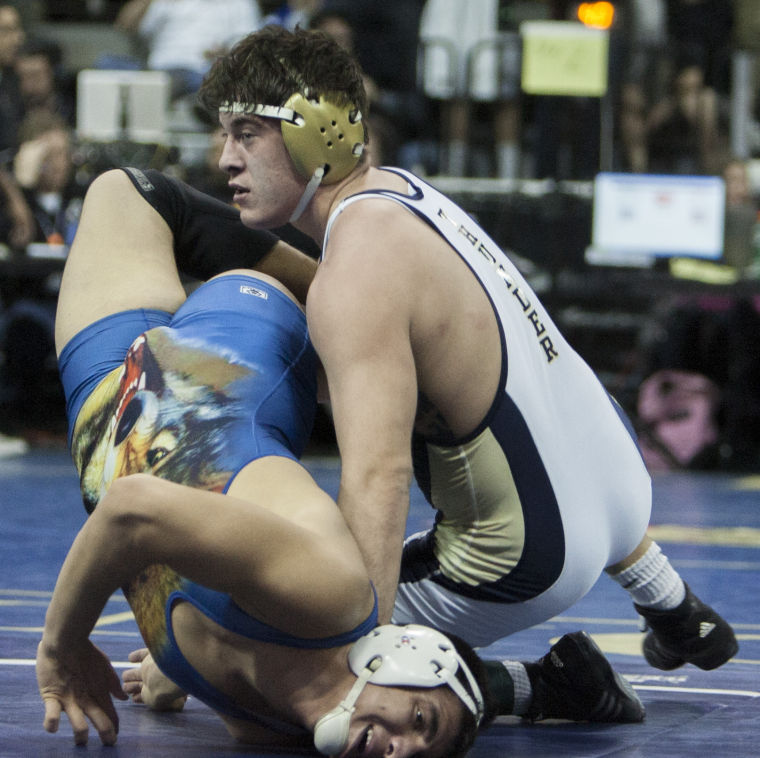 Wrestling: State Championships